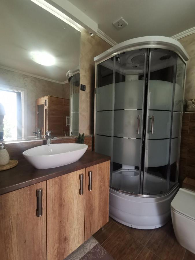 Lux Vila Aleksandar Sremska Kamenica Luaran gambar